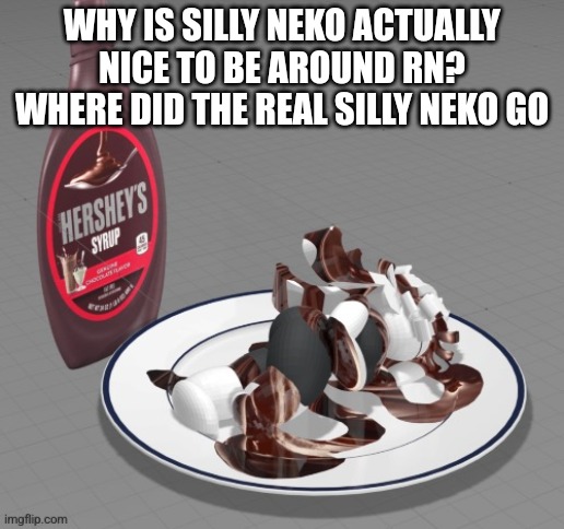 WHY IS SILLY NEKO ACTUALLY NICE TO BE AROUND RN? WHERE DID THE REAL SILLY NEKO GO | made w/ Imgflip meme maker