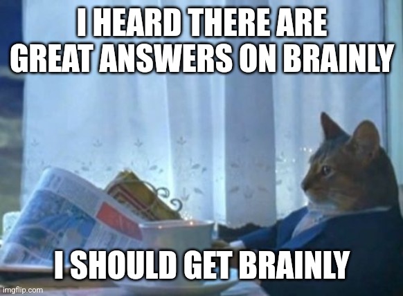 I Should Buy A Boat Cat Meme | I HEARD THERE ARE GREAT ANSWERS ON BRAINLY; I SHOULD GET BRAINLY | image tagged in memes,i should buy a boat cat | made w/ Imgflip meme maker
