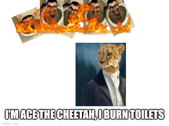 Blank White Template | I'M ACE THE CHEETAH, I BURN TOILETS | image tagged in blank white template | made w/ Imgflip meme maker