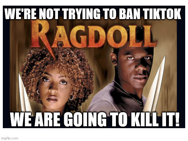 Tiktok | WE'RE NOT TRYING TO BAN TIKTOK; WE ARE GOING TO KILL IT! | image tagged in tiktok | made w/ Imgflip meme maker