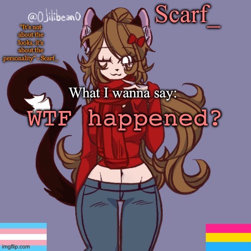 Scarf_ Announcement Template | WTF happened? | image tagged in scarf_ announcement template | made w/ Imgflip meme maker