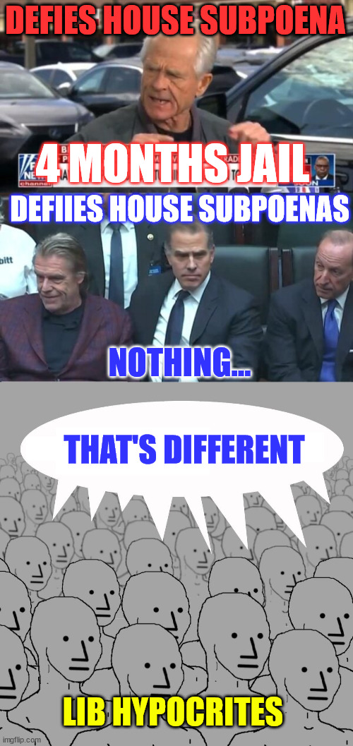 And they said no one is above the law... HYPOCRITES | DEFIES HOUSE SUBPOENA; 4 MONTHS JAIL; DEFIIES HOUSE SUBPOENAS; NOTHING... THAT'S DIFFERENT; LIB HYPOCRITES | image tagged in npc,liberal hypocrisy,american justus system,2 tier system,corrupt biden regime,biden crime family | made w/ Imgflip meme maker