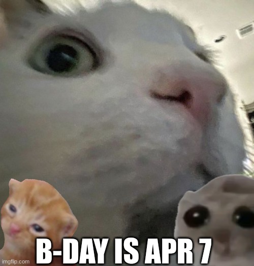 I forgot to tell TmT | B-DAY IS APR 7 | image tagged in happy birthday,april 7th,do not forget,pls | made w/ Imgflip meme maker