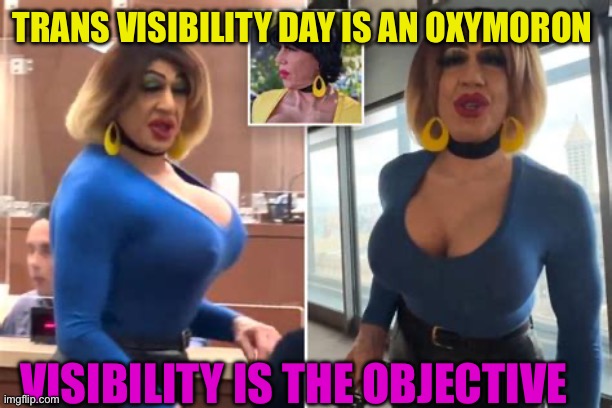 Biden’s new spokesperson | TRANS VISIBILITY DAY IS AN OXYMORON; VISIBILITY IS THE OBJECTIVE | image tagged in gif,trans,liberal hypocrisy,lawyers,oxymoron | made w/ Imgflip meme maker