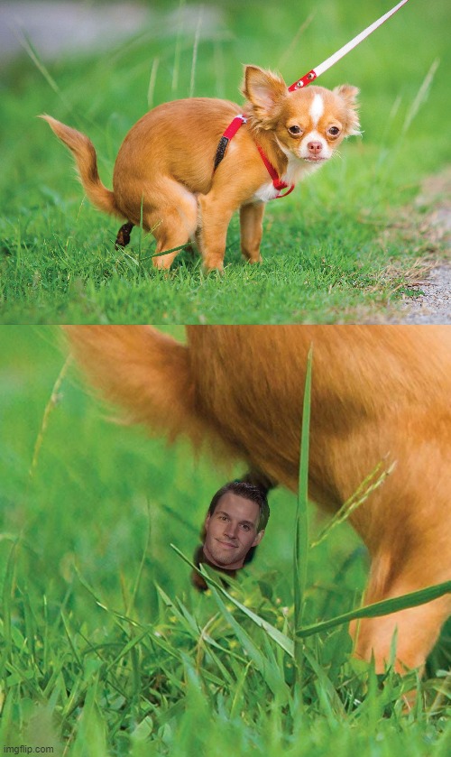 8lr9d1.jpg