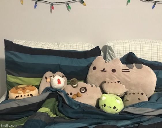 Not going to bed, but here's a pic of my pusheens (the green one isn't a pusheen) | made w/ Imgflip meme maker