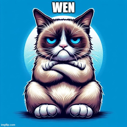 GRUMPY CAT WEN | WEN | image tagged in grumpy cat | made w/ Imgflip meme maker