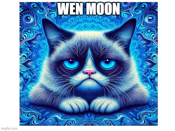 GRUMPY CAT WEN MOON | WEN MOON | image tagged in grumpy cat | made w/ Imgflip meme maker