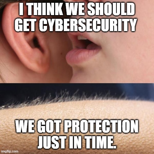 Cybersecurity | I THINK WE SHOULD GET CYBERSECURITY; WE GOT PROTECTION JUST IN TIME. | image tagged in whisper and goosebumps | made w/ Imgflip meme maker