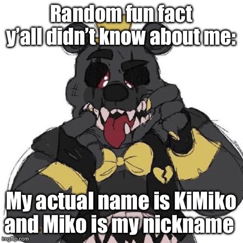 Now wtf do I put here?? | Random fun fact y’all didn’t know about me:; My actual name is KiMiko and Miko is my nickname | image tagged in now wtf do i put here | made w/ Imgflip meme maker