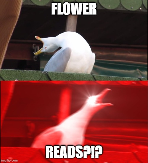8lrbfk.jpg