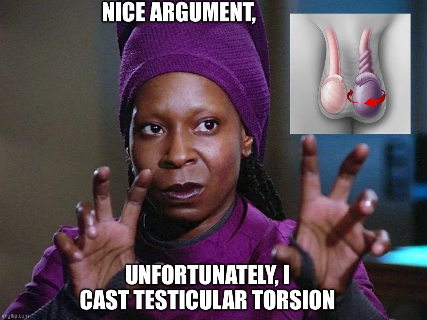 NICE ARGUMENT, UNFORTUNATELY, I CAST TESTICULAR TORSION | made w/ Imgflip meme maker