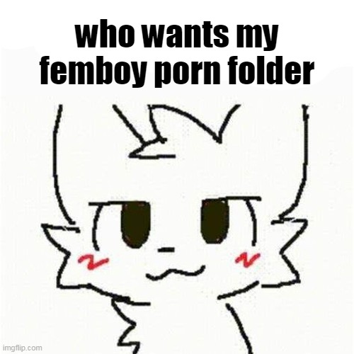 boykisser | who wants my femboy porn folder | image tagged in boykisser | made w/ Imgflip meme maker