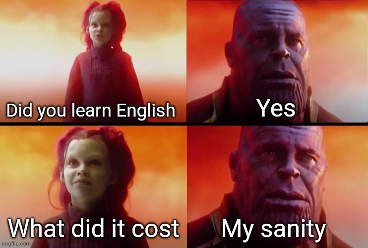 The English classes my school gives make no sense | Did you learn English; Yes; What did it cost; My sanity | image tagged in thanos what did it cost | made w/ Imgflip meme maker