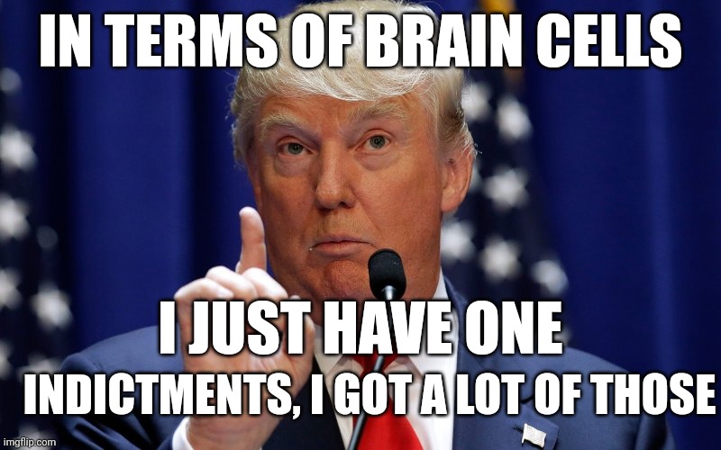 Donald Trump Brain Cells | IN TERMS OF BRAIN CELLS; I JUST HAVE ONE; INDICTMENTS, I GOT A LOT OF THOSE | image tagged in donald trump,brain,brain cells | made w/ Imgflip meme maker