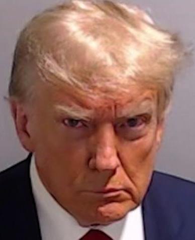 Trump Mug Shot Blank Meme Template