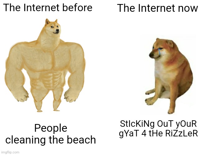 Then vs now | The Internet before; The Internet now; StIcKiNg OuT yOuR gYaT 4 tHe RiZzLeR; People cleaning the beach | image tagged in memes,buff doge vs cheems | made w/ Imgflip meme maker