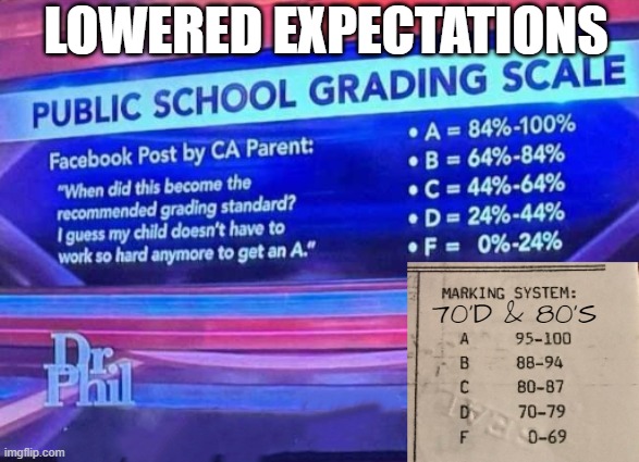 here is why we are in the situation we are in! Can't cut it try again! | LOWERED EXPECTATIONS; 70'D & 80'S | image tagged in grades,lowered expectations,community standards,special education,schools,education | made w/ Imgflip meme maker