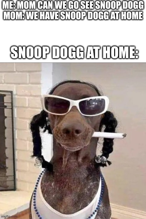 ME: MOM CAN WE GO SEE SNOOP DOGG
MOM: WE HAVE SNOOP DOGG AT HOME; SNOOP DOGG AT HOME: | image tagged in snoop dogg | made w/ Imgflip meme maker