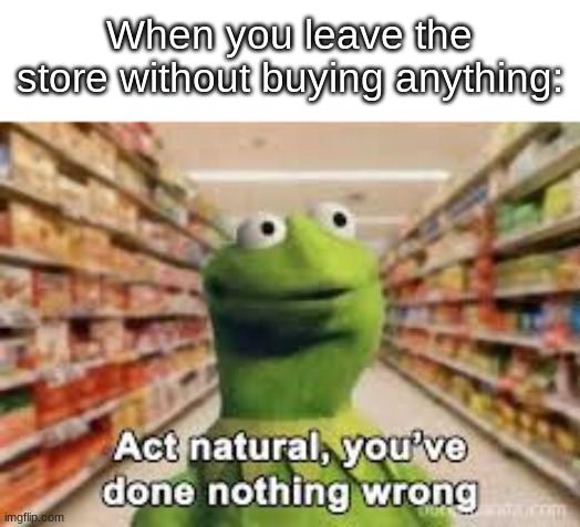 act natural, you've done nothing wrong | When you leave the store without buying anything: | image tagged in act natural you've done nothing wrong,memes,funny,store,relatable | made w/ Imgflip meme maker