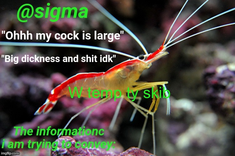 Behapps shrimp temp by skibble | W temp ty skib | image tagged in behapps shrimp temp by skibble | made w/ Imgflip meme maker