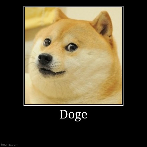 Doge | Doge | | image tagged in funny,demotivationals,doge | made w/ Imgflip demotivational maker
