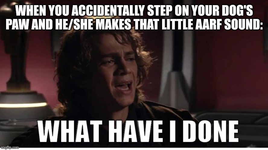 Anakin what have i done | WHEN YOU ACCIDENTALLY STEP ON YOUR DOG'S PAW AND HE/SHE MAKES THAT LITTLE AARF SOUND: | image tagged in anakin what have i done | made w/ Imgflip meme maker