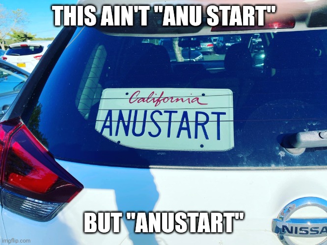 Hehe boi pe- | THIS AIN'T "ANU START"; BUT "ANUSTART" | image tagged in anus tart | made w/ Imgflip meme maker