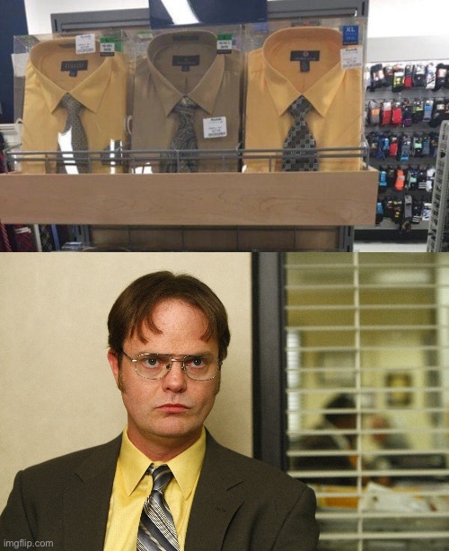 The office | image tagged in dwight schrute,office,fashion line | made w/ Imgflip meme maker