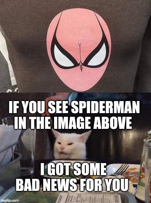 IF YOU SEE SPIDERMAN IN THE IMAGE ABOVE; I GOT SOME BAD NEWS FOR YOU | image tagged in smudge that darn cat | made w/ Imgflip meme maker