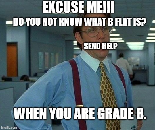 BRUH | EXCUSE ME!!! DO YOU NOT KNOW WHAT B FLAT IS? SEND HELP; WHEN YOU ARE GRADE 8. | image tagged in memes,that would be great | made w/ Imgflip meme maker