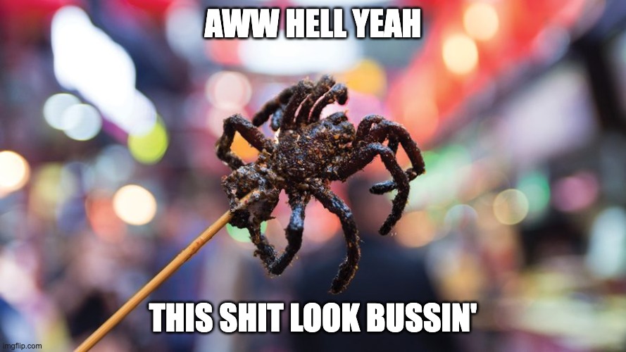 AWW HELL YEAH; THIS SHIT LOOK BUSSIN' | image tagged in spider,spider on a stick,delicious,tasty food,food,foreign food | made w/ Imgflip meme maker