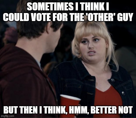Vote for the other guy | SOMETIMES I THINK I COULD VOTE FOR THE 'OTHER' GUY; BUT THEN I THINK, HMM, BETTER NOT | image tagged in fat amy silent hours | made w/ Imgflip meme maker