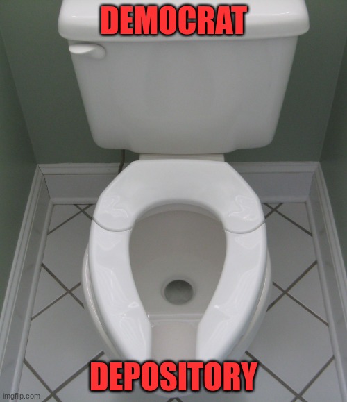 Flush | DEMOCRAT; DEPOSITORY | image tagged in toilette,politics | made w/ Imgflip meme maker