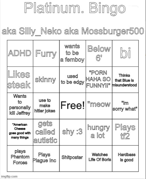 Platinum. bingo | image tagged in platinum bingo | made w/ Imgflip meme maker