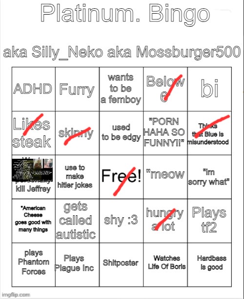 Platinum. bingo | image tagged in platinum bingo | made w/ Imgflip meme maker