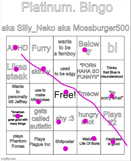 Platinum. bingo | image tagged in platinum bingo | made w/ Imgflip meme maker