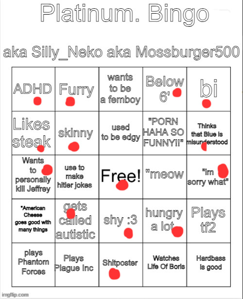 Platinum. bingo | image tagged in platinum bingo | made w/ Imgflip meme maker