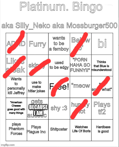 Did it again because i forgot one | BECAUSE I AM | image tagged in platinum bingo | made w/ Imgflip meme maker