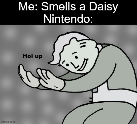Nintendo ain't gonna be happy... | Me: Smells a Daisy
Nintendo:; Hol up | image tagged in hol up,wait what,why,wait thats illegal | made w/ Imgflip meme maker