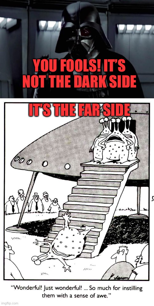 YOU FOOLS! IT’S NOT THE DARK SIDE IT’S THE FAR SIDE | image tagged in darth vader | made w/ Imgflip meme maker