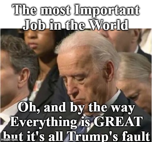Sleezy Joe | The most Important Job in the World; Oh, and by the way Everything is GREAT but it's all Trump's fault | image tagged in biden most important job meme | made w/ Imgflip meme maker
