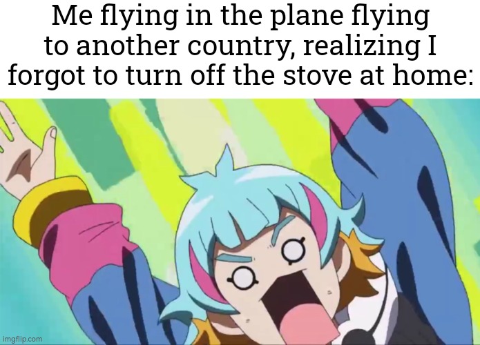 OHHH NOOOOOO!!! | Me flying in the plane flying to another country, realizing I forgot to turn off the stove at home: | image tagged in funny,forgot,stove | made w/ Imgflip meme maker