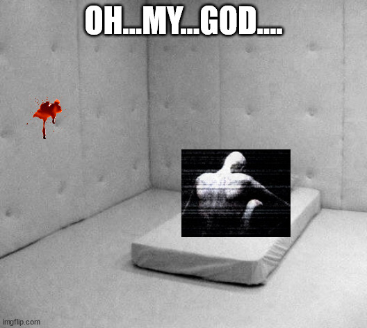 Solitary Confinement | OH...MY...GOD.... | image tagged in solitary confinement | made w/ Imgflip meme maker