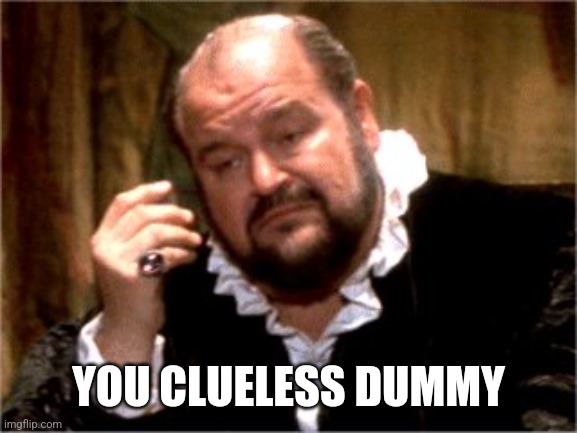 What a Seder | YOU CLUELESS DUMMY | image tagged in what a seder | made w/ Imgflip meme maker