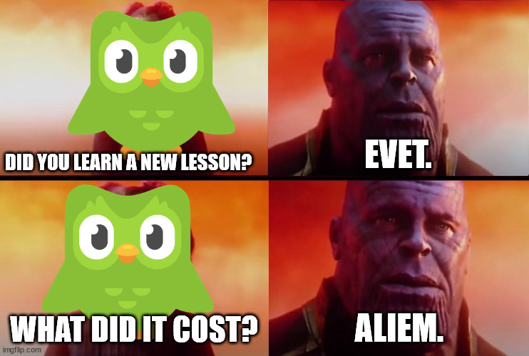 thanos what did it cost | EVET. DID YOU LEARN A NEW LESSON? WHAT DID IT COST? ALIEM. | image tagged in thanos what did it cost | made w/ Imgflip meme maker