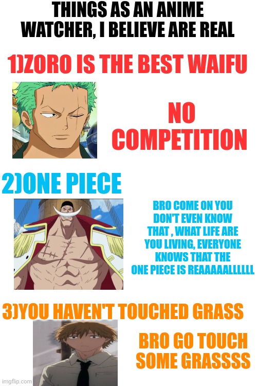 You should agree | THINGS AS AN ANIME WATCHER, I BELIEVE ARE REAL; 1)ZORO IS THE BEST WAIFU; NO COMPETITION; 2)ONE PIECE; BRO COME ON YOU DON'T EVEN KNOW THAT , WHAT LIFE ARE YOU LIVING, EVERYONE KNOWS THAT THE ONE PIECE IS REAAAAALLLLLL; 3)YOU HAVEN'T TOUCHED GRASS; BRO GO TOUCH SOME GRASSSS | image tagged in shitpost,memes,anime,front page plz | made w/ Imgflip meme maker