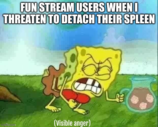 Visible anger | FUN STREAM USERS WHEN I THREATEN TO DETACH THEIR SPLEEN | image tagged in visible anger | made w/ Imgflip meme maker