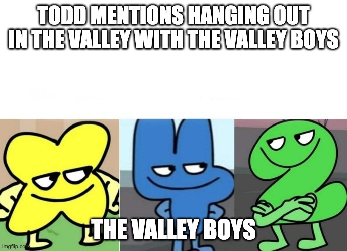 BFB Smug | TODD MENTIONS HANGING OUT IN THE VALLEY WITH THE VALLEY BOYS; THE VALLEY BOYS | image tagged in bfb smug | made w/ Imgflip meme maker