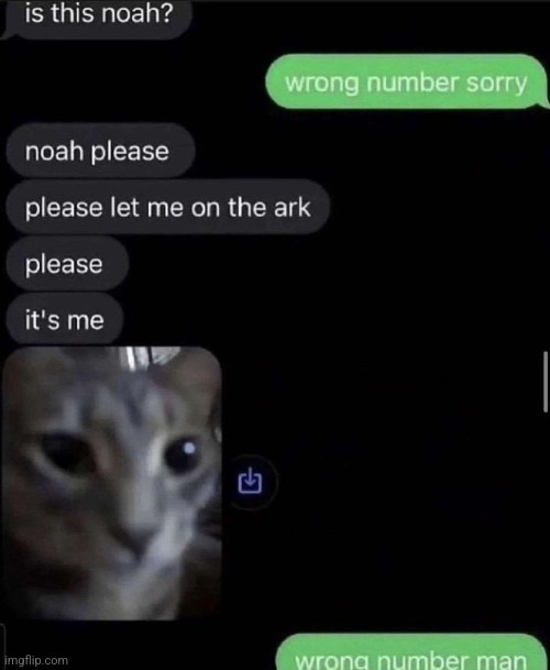 image tagged in noah's ark,texting | made w/ Imgflip meme maker